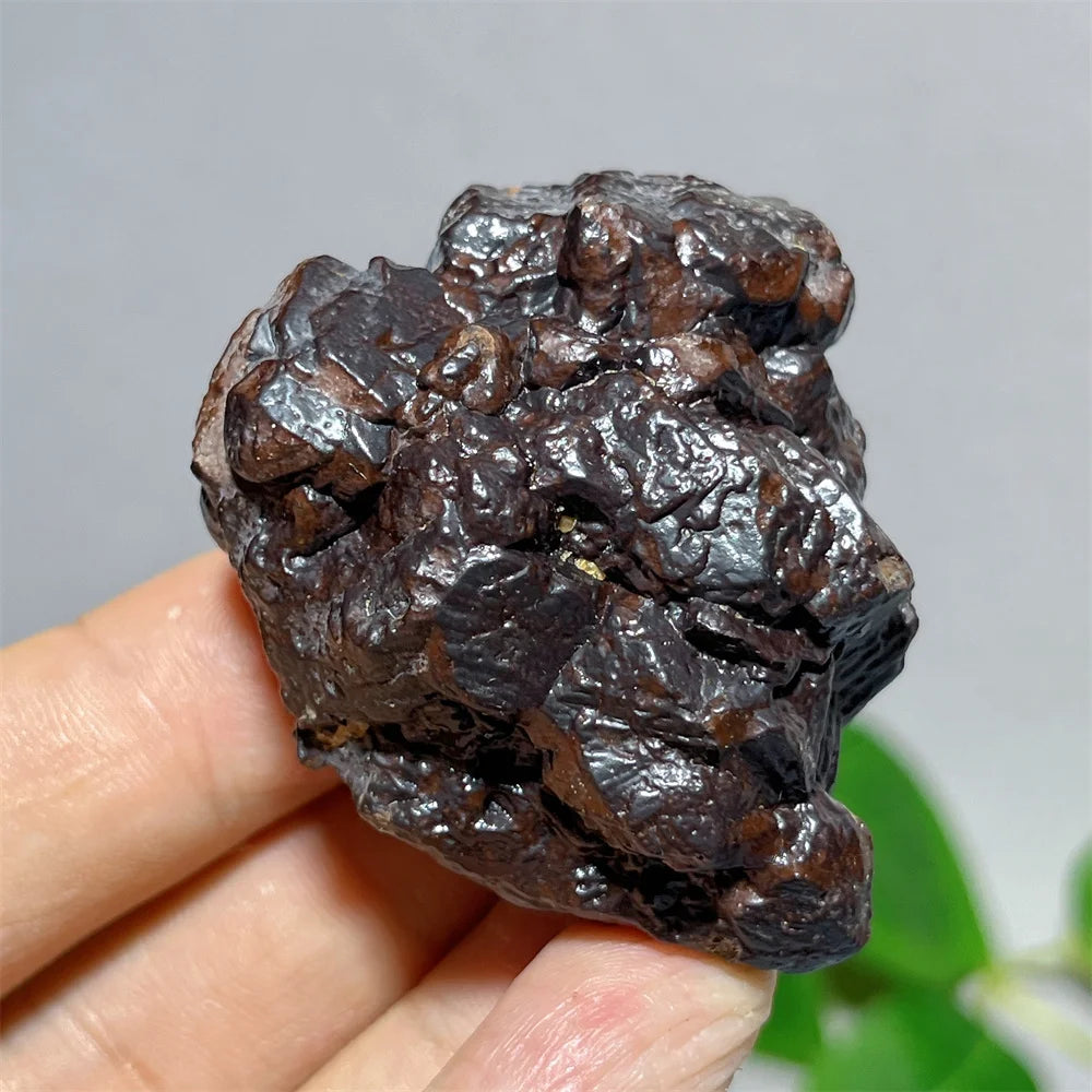 Egypt Prophecy Stone Natural Limonite Rough Crystal Mineral Ore Specimen Chakra Meditation Sleep Home Decor Witchcraft Wicca