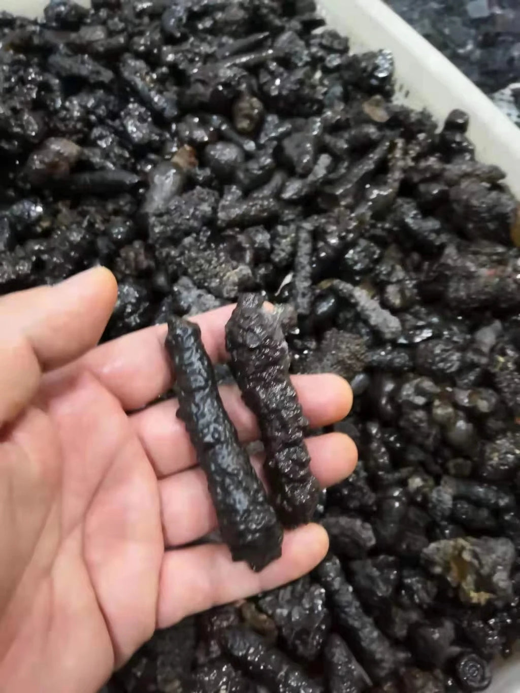Natural  Egypt Black Diamond Prophecy stone Specimen Reiki Raw