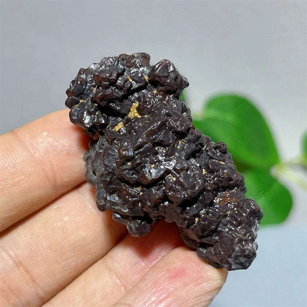 Egypt Prophecy Stone Natural Limonite Rough Crystal Mineral Ore Specimen Chakra Meditation Sleep Home Decor Witchcraft Wicca