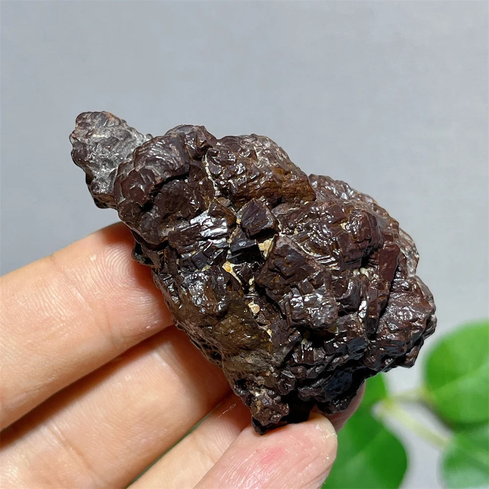 Egypt Prophecy Stone Natural Limonite Rough Crystal Mineral Ore Specimen Chakra Meditation Sleep Home Decor Witchcraft Wicca