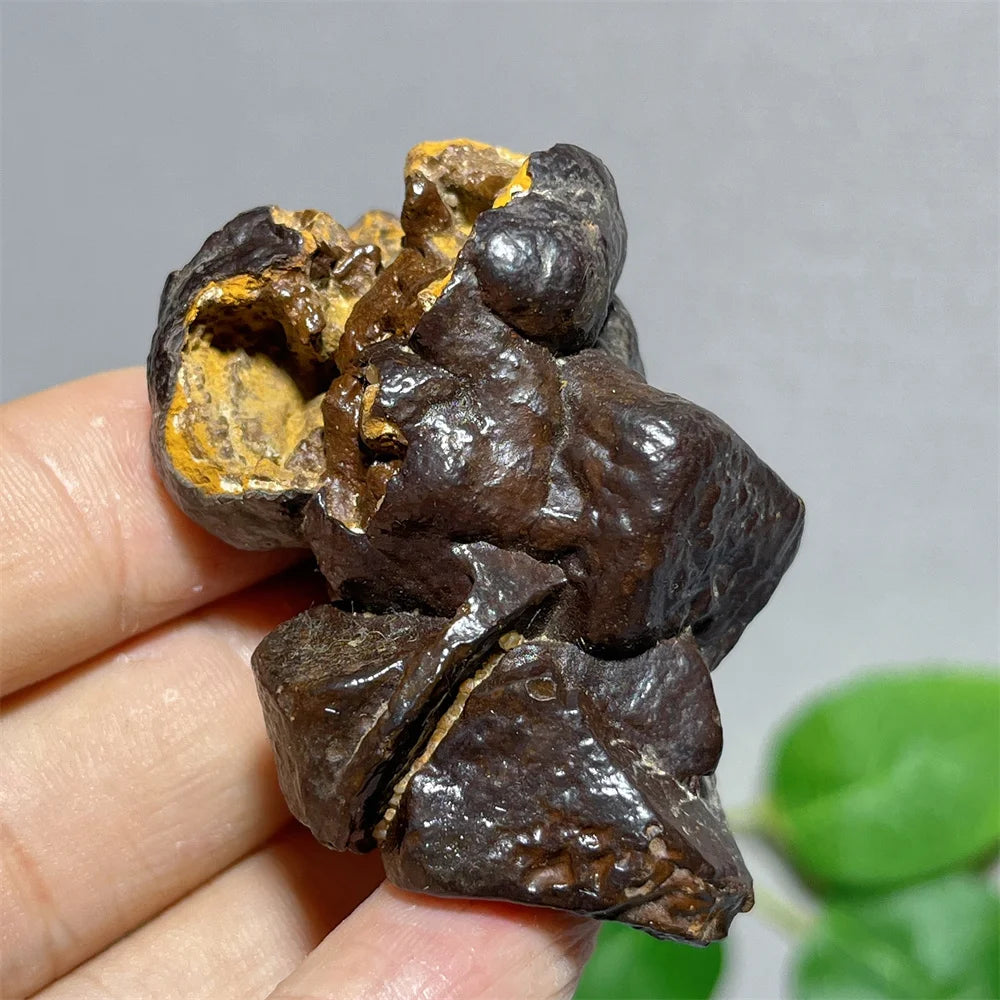 Egypt Prophecy Stone Natural Limonite Rough Crystal Mineral Ore Specimen Chakra Meditation Sleep Home Decor Witchcraft Wicca