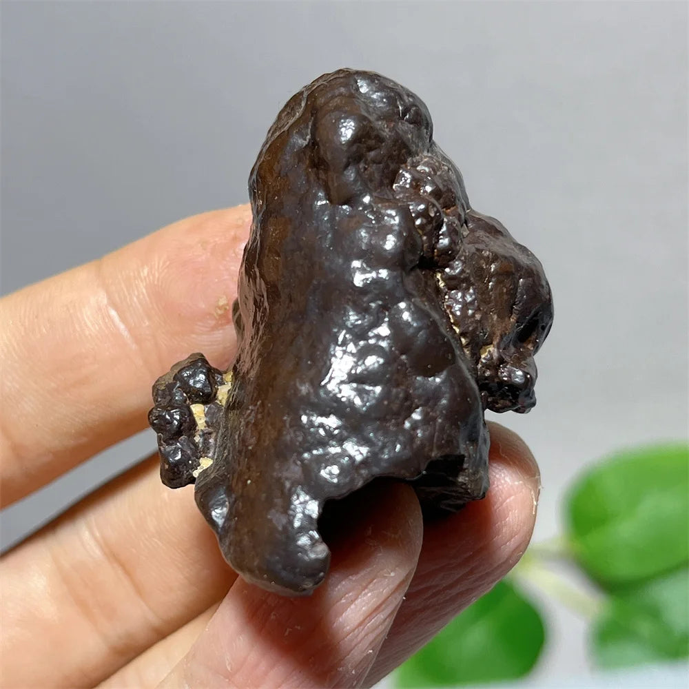 Egypt Prophecy Stone Natural Limonite Rough Crystal Mineral Ore Specimen Chakra Meditation Sleep Home Decor Witchcraft Wicca