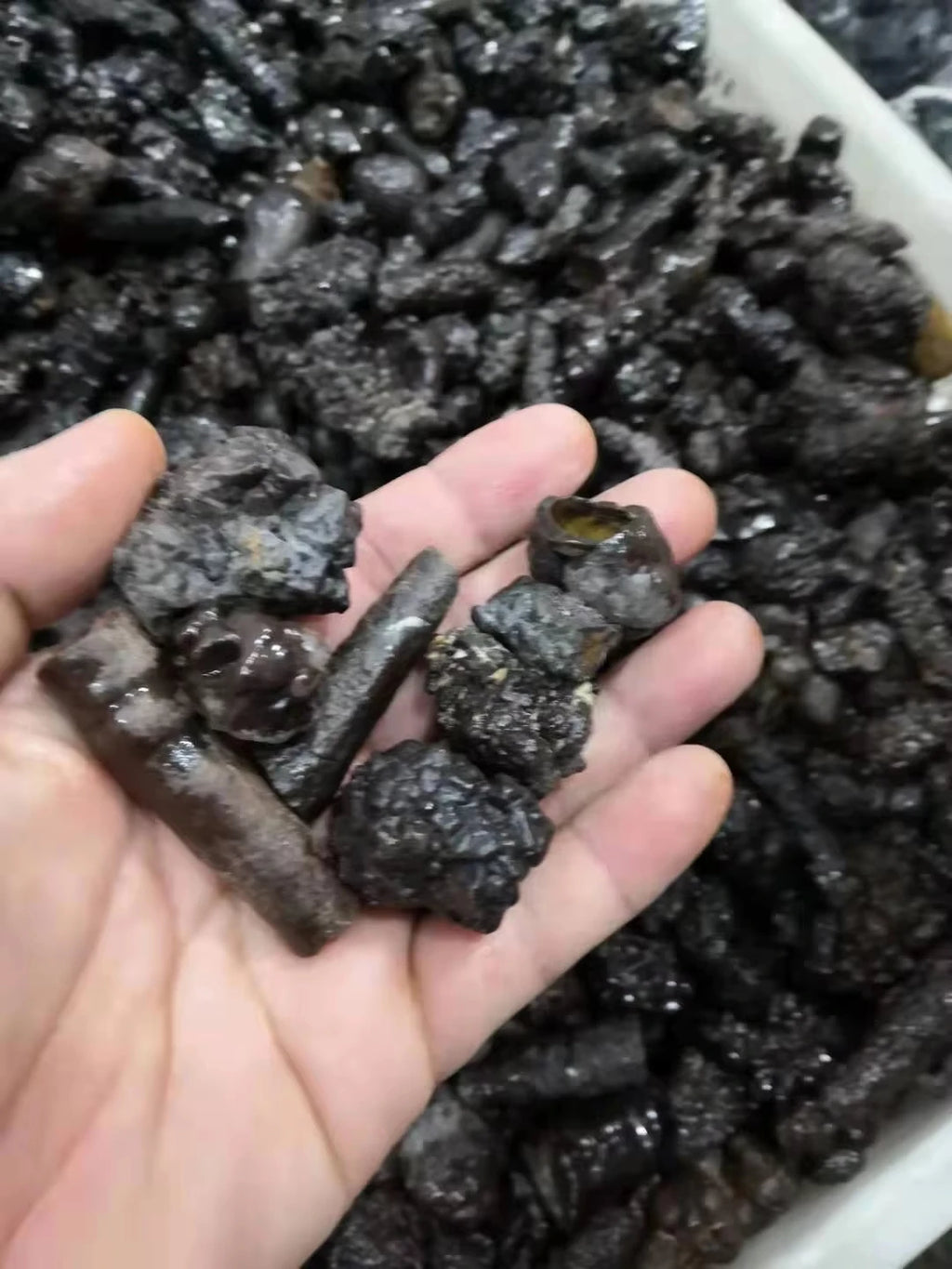 Natural  Egypt Black Diamond Prophecy stone Specimen Reiki Raw