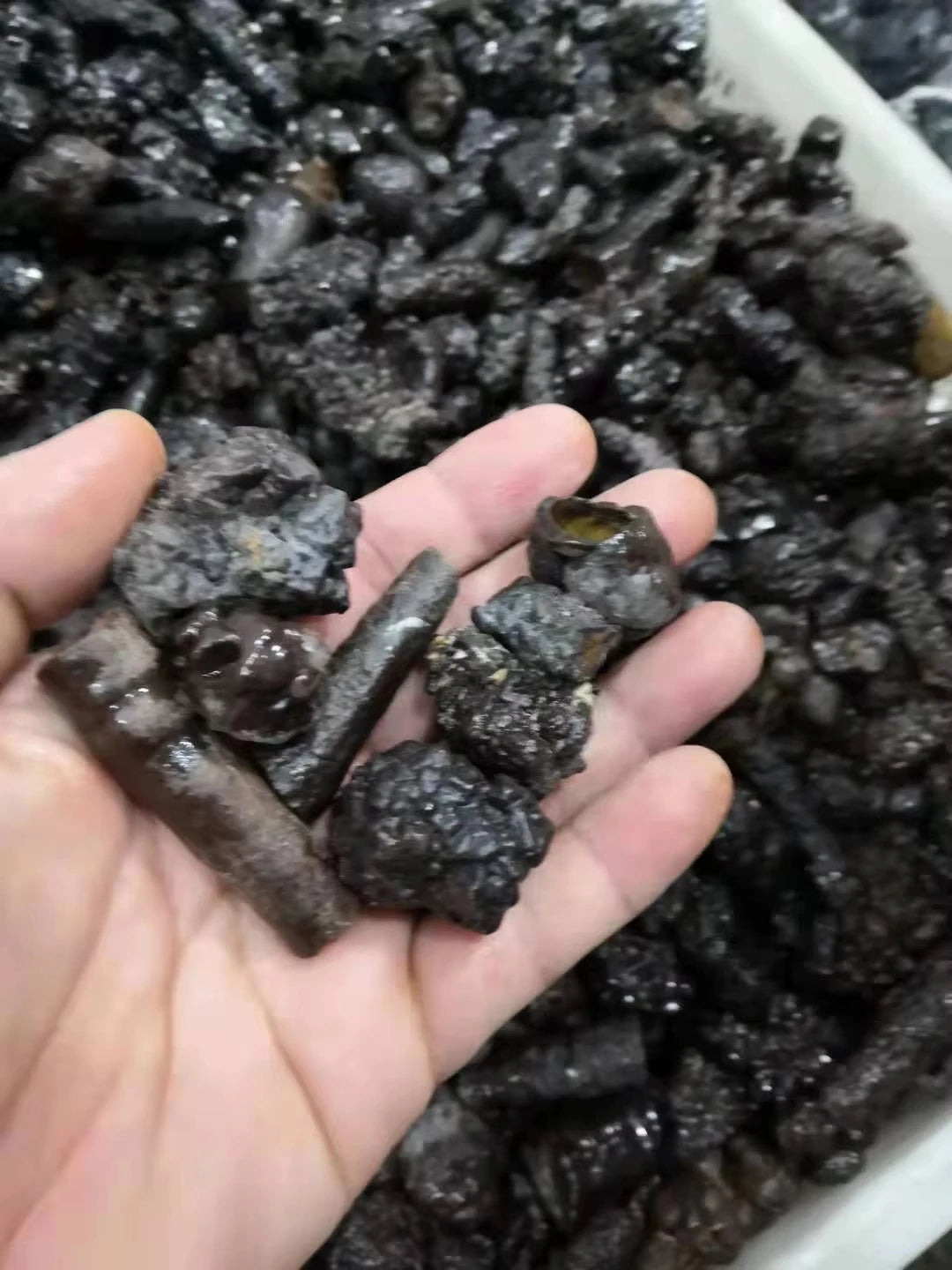 Natural  Egypt Black Diamond Prophecy stone Specimen Reiki Raw