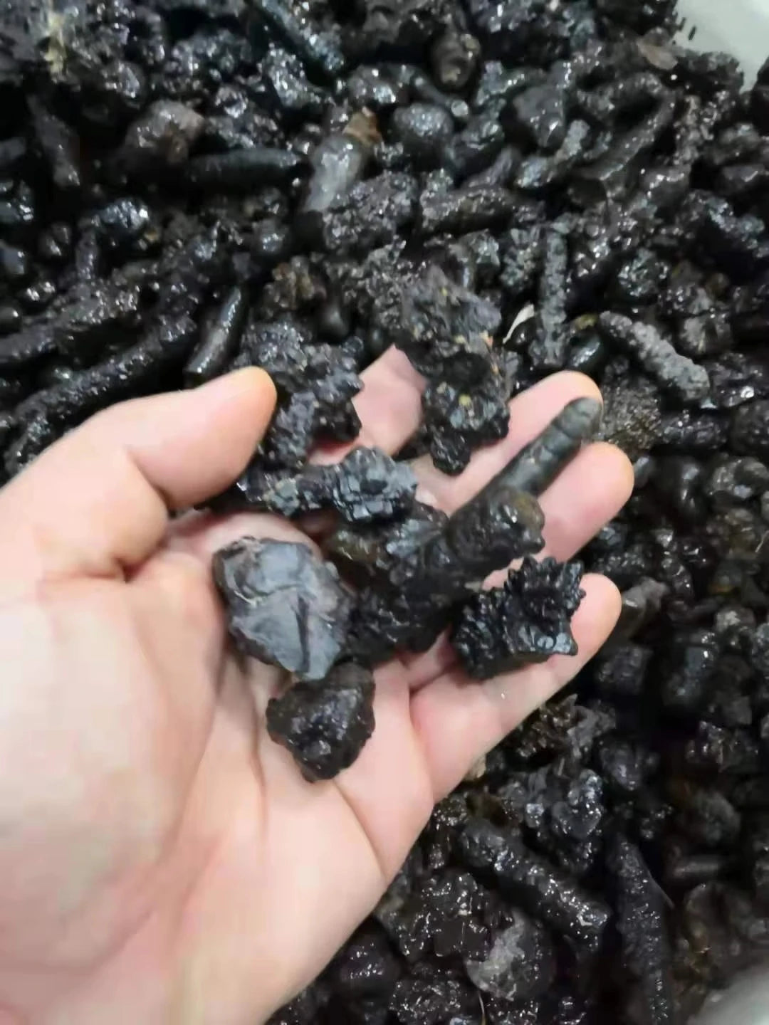 Natural  Egypt Black Diamond Prophecy stone Specimen Reiki Raw