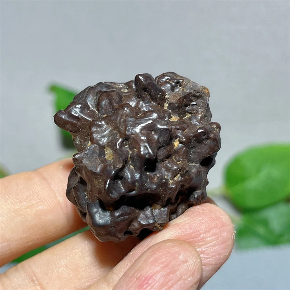 Egypt Prophecy Stone Natural Limonite Rough Crystal Mineral Ore Specimen Chakra Meditation Sleep Home Decor Witchcraft Wicca