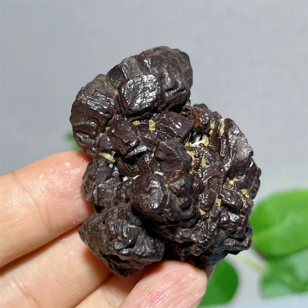 Egypt Prophecy Stone Natural Limonite Rough Crystal Mineral Ore Specimen Chakra Meditation Sleep Home Decor Witchcraft Wicca