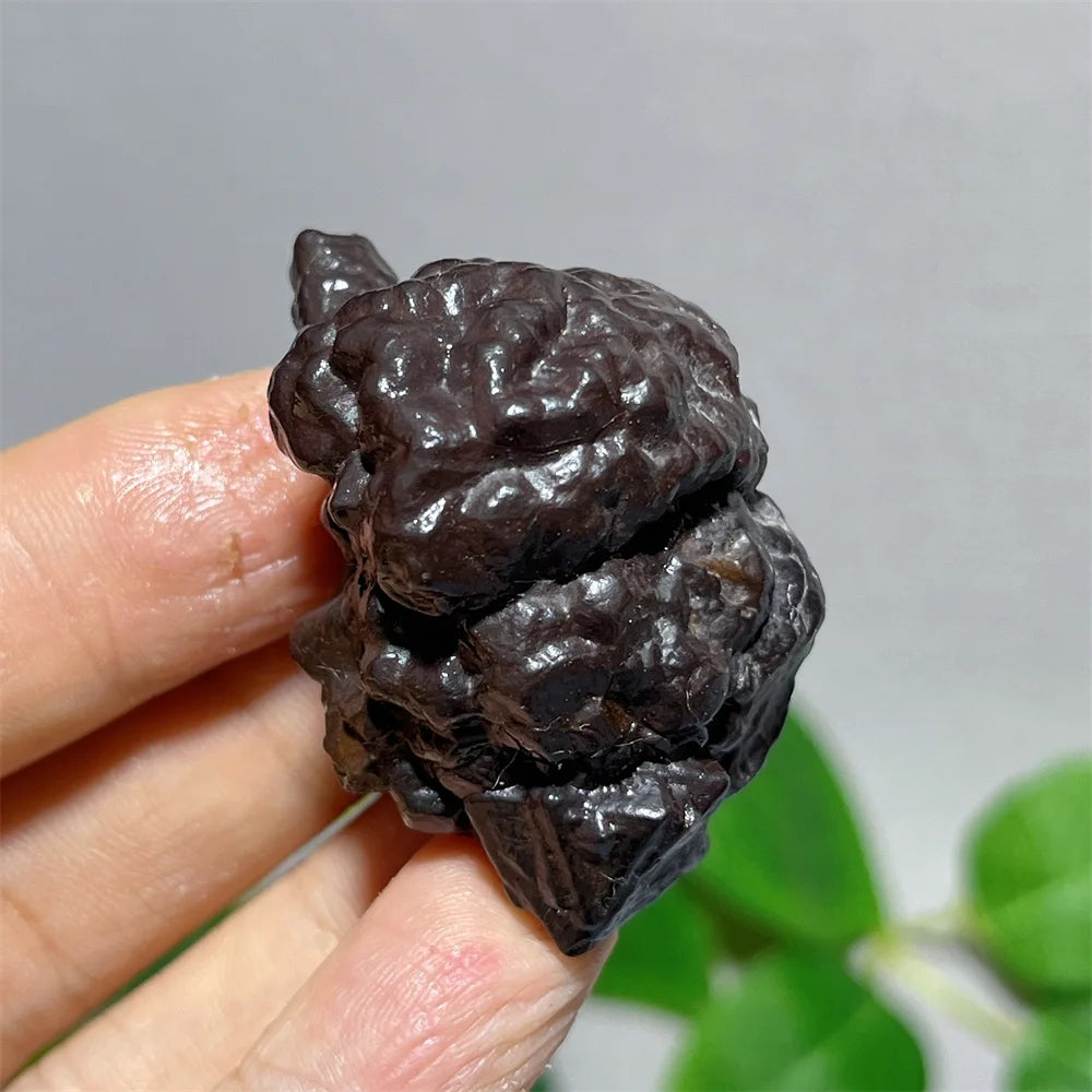 Egypt Prophecy Stone Natural Limonite Rough Crystal Mineral Ore Specimen Chakra Meditation Sleep Home Decor Witchcraft Wicca