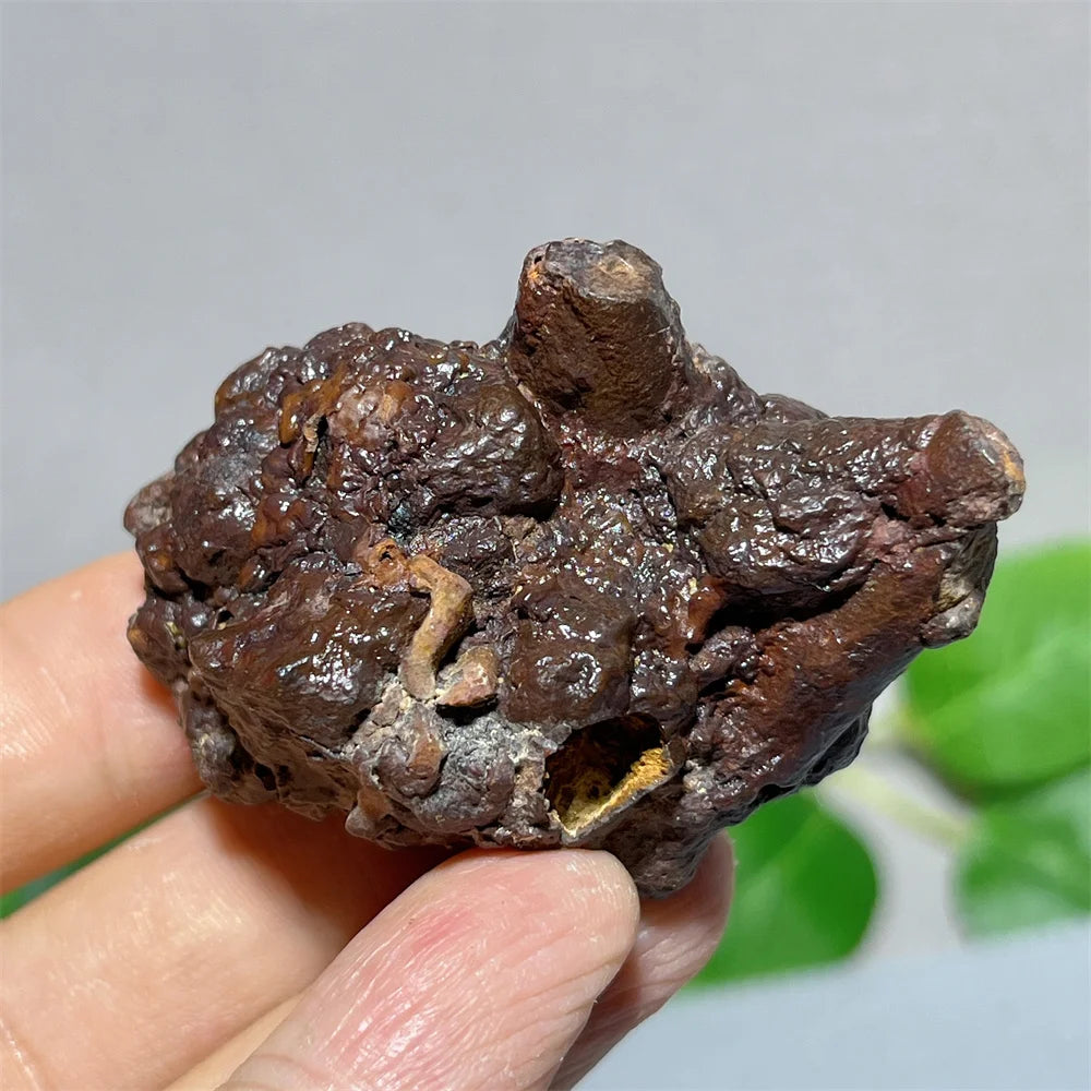 Egypt Prophecy Stone Natural Limonite Rough Crystal Mineral Ore Specimen Chakra Meditation Sleep Home Decor Witchcraft Wicca